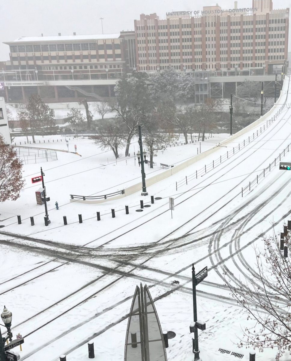 Houston METRO's Red Line shut down on Jan. 21 at 2 p.m. due to the winter storm. Courtesy: UHDPD