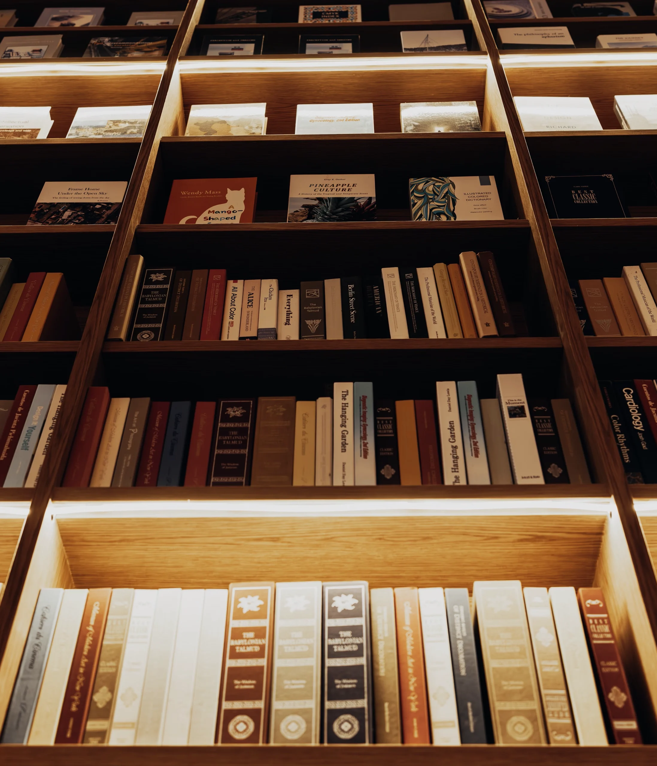 Image via Unsplash